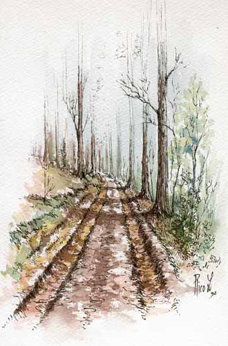 chemin.jpg