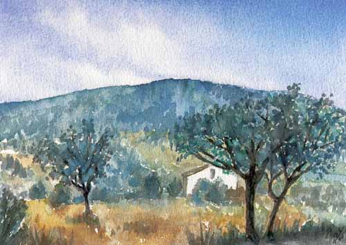 provence.jpg